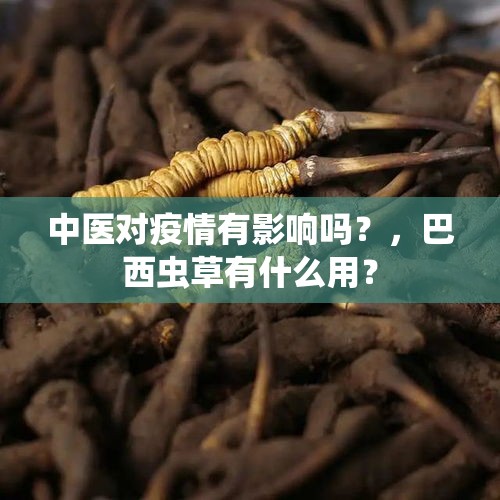 中医对疫情有影响吗？，巴西虫草有什么用？