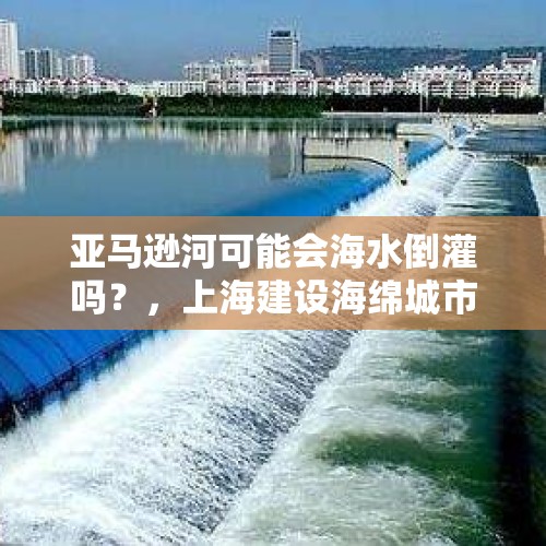 亚马逊河可能会海水倒灌吗？，上海建设海绵城市为什么能防止海水倒灌？