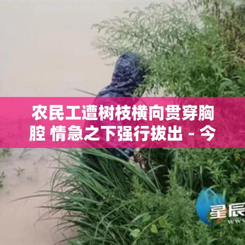 农民工遭树枝横向贯穿胸腔 情急之下强行拔出 - 今日头条