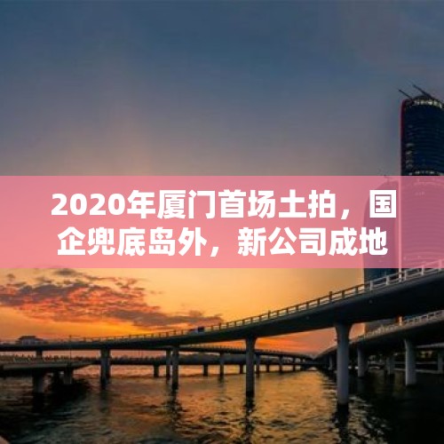 2020年厦门首场土拍，国企兜底岛外，新公司成地王，怎么看？，全面禁止校外辅导机构政策？