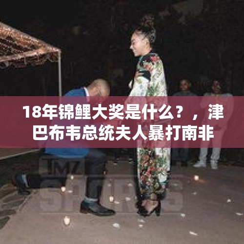 18年锦鲤大奖是什么？，津巴布韦总统夫人暴打南非模特一事怎么样了？被南非抓起来了吗？