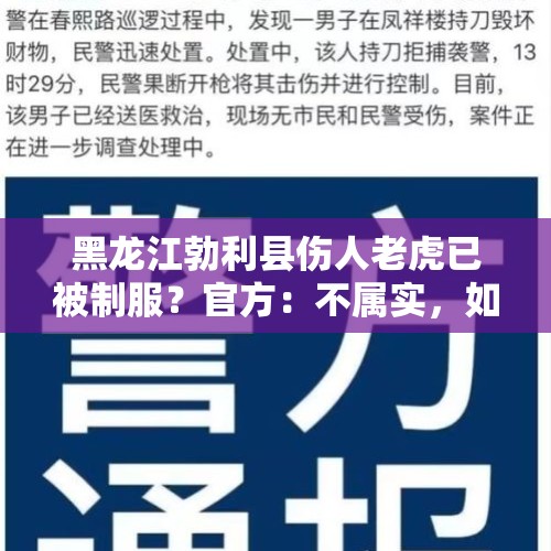 黑龙江勃利县伤人老虎已被制服？官方：不属实，如有进展会发布通报 - 今日头条